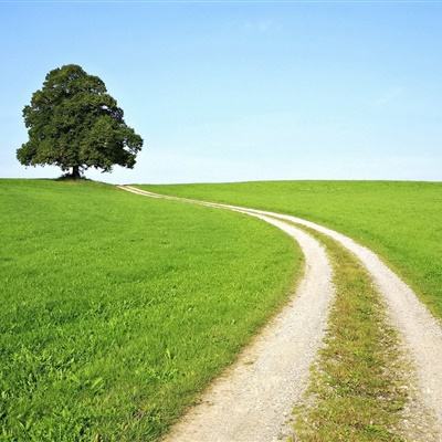 云顶集团手机app下载