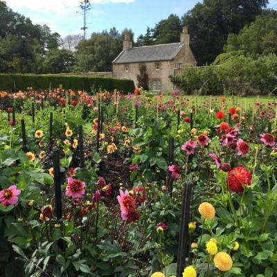 安博体育下载手机版