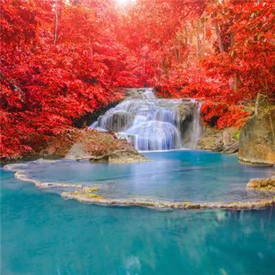 b体育手机版官网最新版本下载