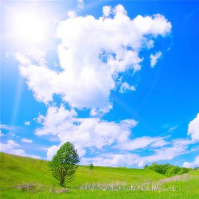 hth·华体育官方