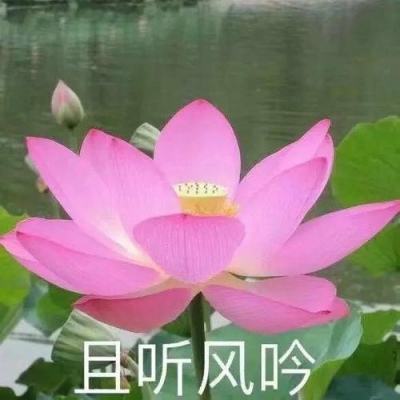 pg棋牌软件平台app下载