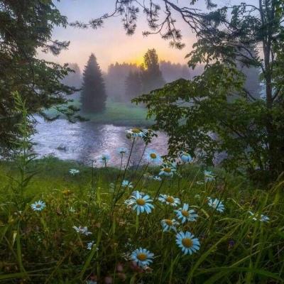 乐虎国际app下载