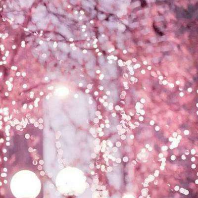 凤凰彩票app手机app下载