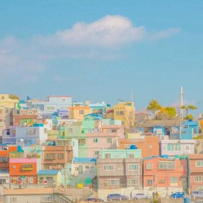 华体会体育手机app下载